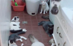 娱乐吃瓜酱出门忘关空调