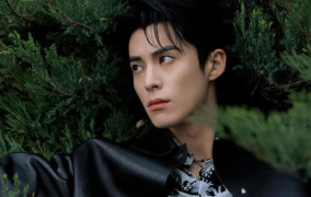 娱乐吃瓜爆料王鹤棣,娱乐圈新晋“吃瓜王”的崛起之路