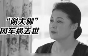 娱乐圈的瓜vs我吃的瓜,娱乐圈大瓜与我日常瓜果分享