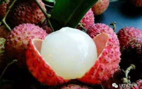 荔枝娱乐圈吃瓜爆料,荔枝吃瓜爆料，明星幕后故事大曝光