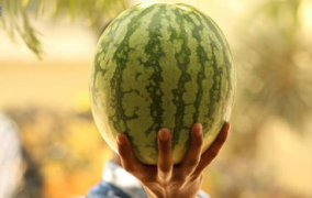 娱乐圈大瓜可以吃吗,揭秘明星幕后故事，一网打尽娱乐热点