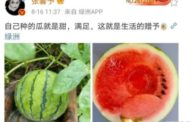 娱乐圈的瓜可以吃,揭秘明星幕后故事