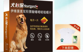犬心保,守护宠物健康的守护神