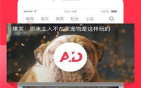 娱乐吃瓜芋泥视频下载,芋泥吃瓜达人教你轻松下载娱乐视频