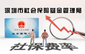 深圳社保基金,管理、改革与发展概览