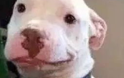 娱乐圈吃瓜公众号微信,揭秘那些不为人知的幕后故事！